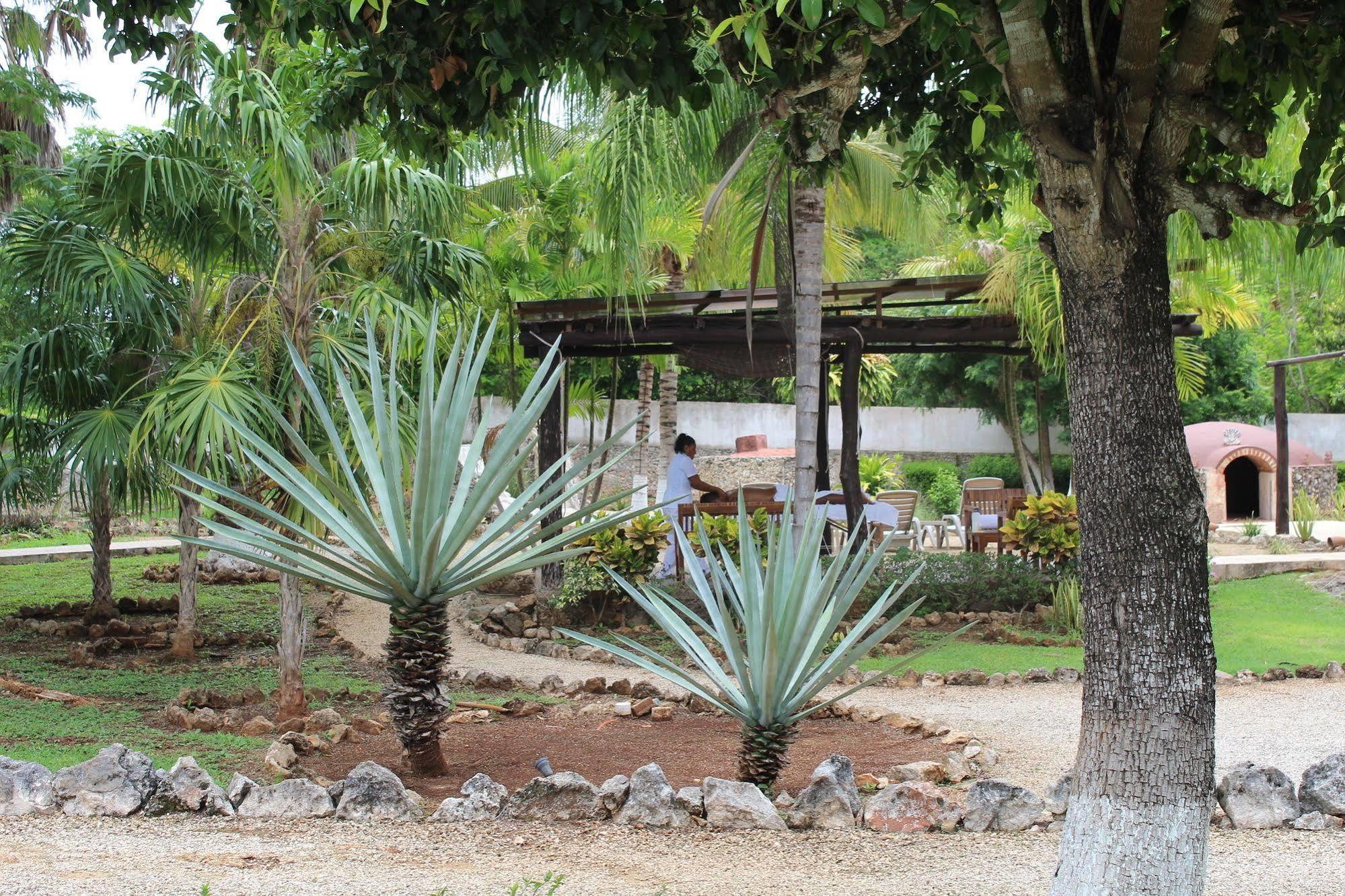 Koox Naluum Eco Hotel Tecoh Exterior photo